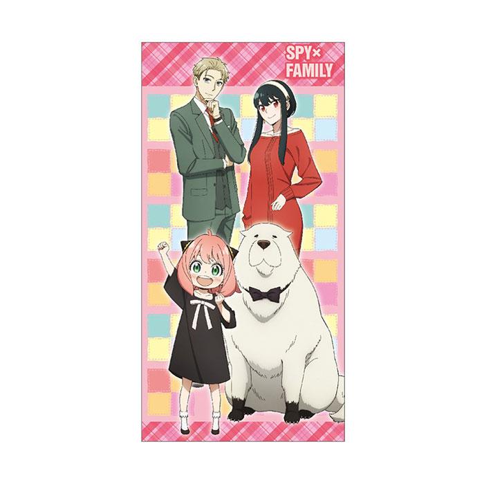 映画　パプリカ　ポチ袋入り生フィルム　ステッカー　夢日記帳（ノート）3点セット ホワイトタイガーとブラックタイガー マルチケース（グレー） | とらえ