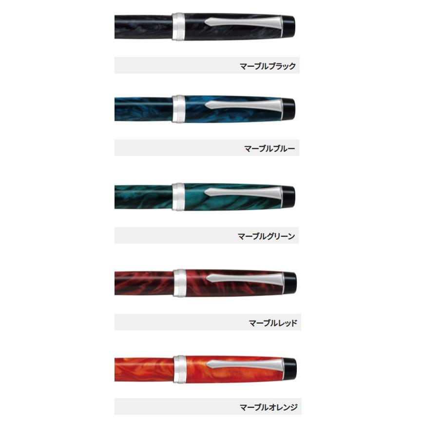 PILOT（パイロット） カスタムヘリテイジSE 万年筆 ボールペン 2本