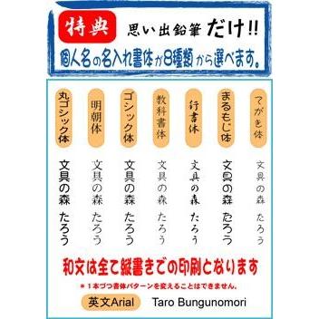 こんな鉛筆が欲しかった 思い出鉛筆 六角軸 標準イラストタイプ 卒園記念品 卒業記念品 名入れ 文具の森オリジナル プレゼント ギフト Omoide 102 文具の森ヤフー店 通販 Yahoo ショッピング