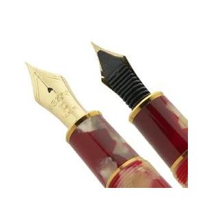 3776 センチュリー プラチナ万年筆 セルロイド万年筆 金魚 PTB-35000S