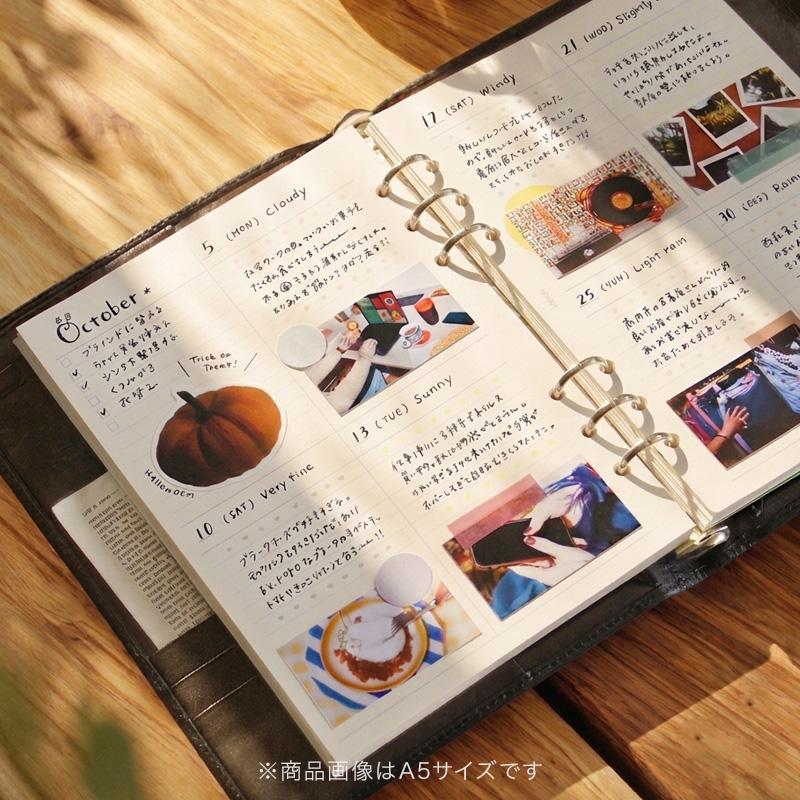 ダ・ヴィンチ 爆買Point+5% システム手帳リフィル ポケット ミニ6穴