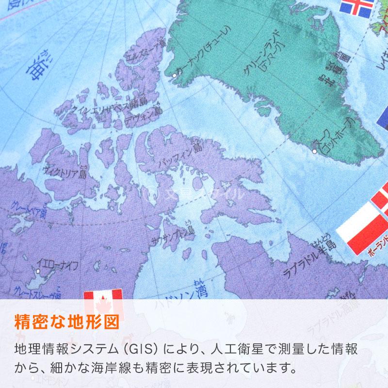 レイメイ藤井 地球儀 子供 プレゼント しゃべる国旗付き地球儀＆カルタ