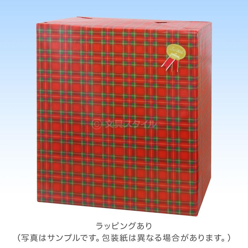 本日Point5% 地球儀 子供 プレゼント 先生オススメ！小学生の地球儀 手頃な20cm球 メーカー直販 最新 OYV11（新入学 お祝い ラッピング無料）2026/02 | レイメイ藤井 | 02