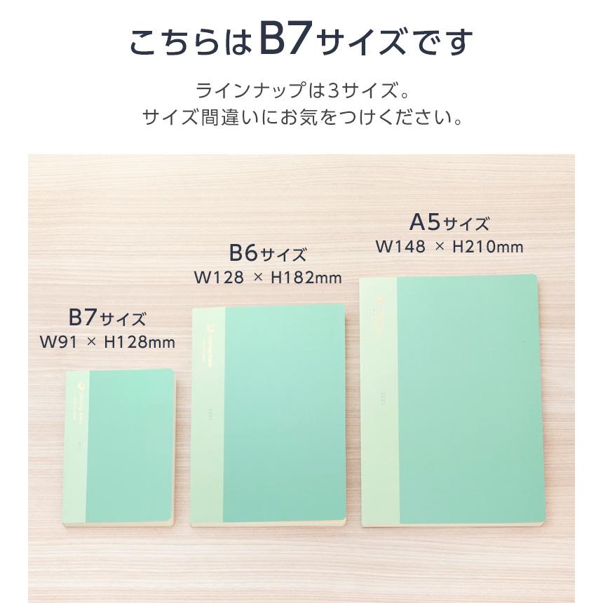 レイメイ藤井 爆買Point+4% ダイアリー 手帳 2027年 ちょいログ