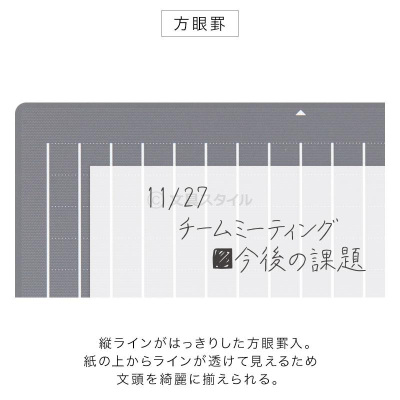 レイメイ藤井 下敷き 大人の魔法のザラザラ下じき A4（0.3mmドット