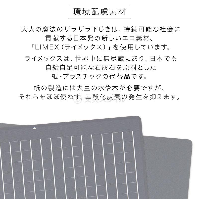 レイメイ藤井 下敷き 大人の魔法のザラザラ下じき A4（0.3mmドット