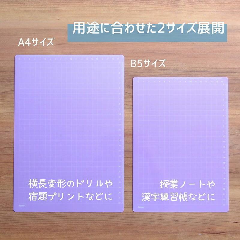 レイメイ藤井 爆買Point+5%下敷き 先生おすすめ！魔法のザラザラ下じき