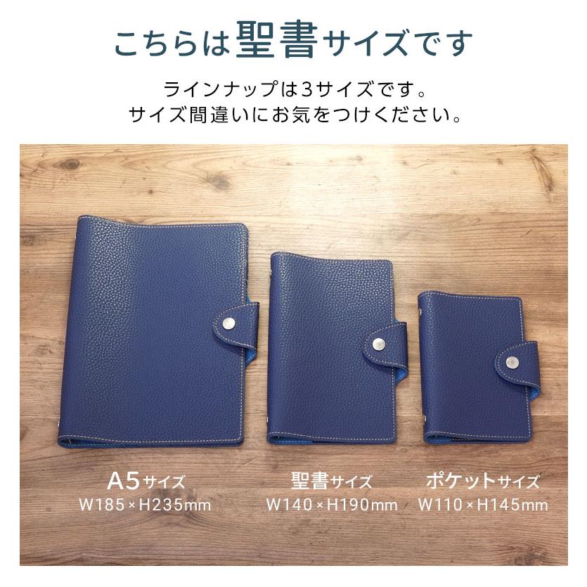 レイメイ藤井 システム手帳 ソフトファイル バイブルサイズ B6相当 合