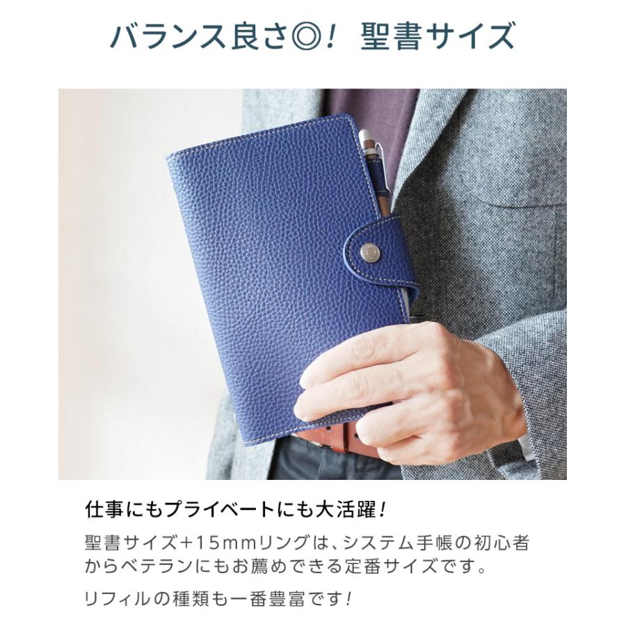レイメイ藤井 システム手帳 ソフトファイル バイブルサイズ B6相当 合