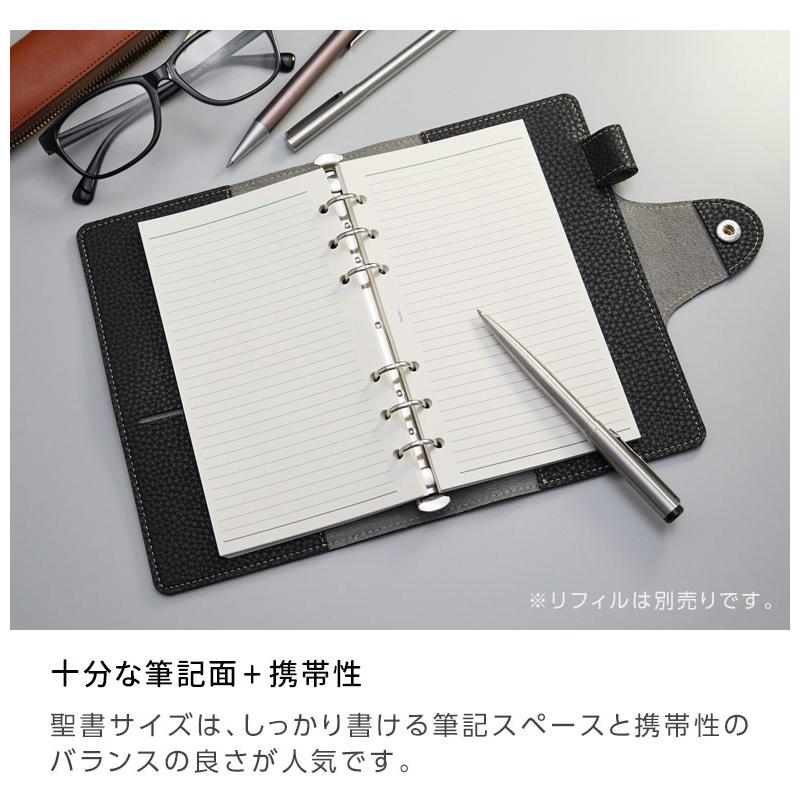 レイメイ藤井 システム手帳 ソフトファイル バイブルサイズ B6相当 合