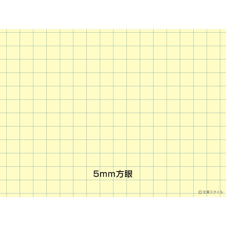 zeitVektor 本日Point5% レポート用紙（イエロータイプ） A4 ツァイト