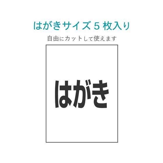 【お取り寄せ】エレコム ラミネートシール 防水 UVカット ハガキ EDT-STHUVF5｜bungubin｜04