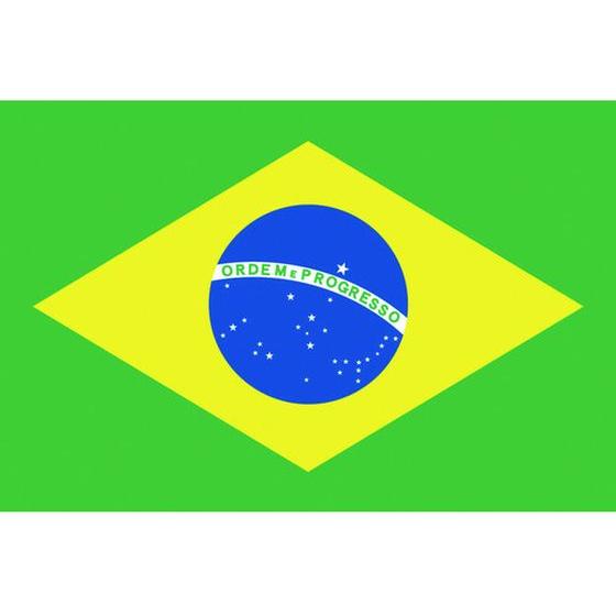 お取り寄せ】東京製旗 国旗No.1(70×105cm) ブラジル 416646 : BUNGU便