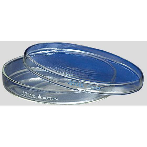 PYREX 【お取り寄せ】コーニング・PYREX ペトリ皿 PYREX(R)φ100×10mm 3160-100 : BUNGU便 - 通販 ...