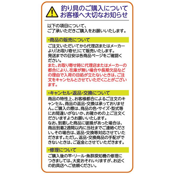 【お取り寄せ】ダイワ ショアラインシャイナーZセットアッパー110SDR ラトリンGDレインボー｜bungubin｜02