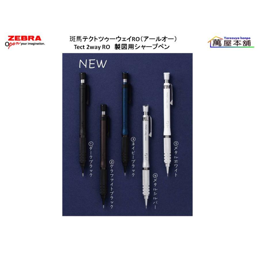 ZEBRA（ゼブラ） 斑馬 テクトツゥーウェイRO（アールオー）Tect 2way