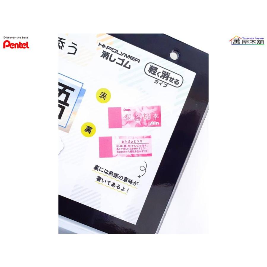 ぺんてる 限定 ぺんてる アイン限定消しゴム5コパック 四字熟語 ぺんてる 限定 ぺんてる アイン限定消しゴム5コパック 四字熟語