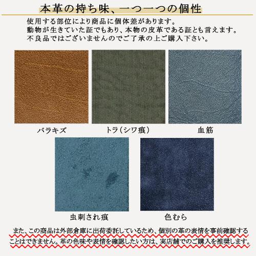 ☆PLOTTER プロッター 5015 ブライドル 5穴リングレザーバインダー