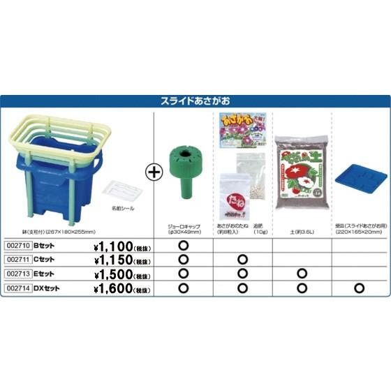 あさがお お取寄 あさがお栽培 スライドあさがおセット Cセット 朝顔 日本製
