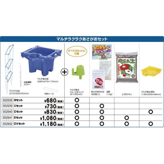 お取寄 あさがお栽培 マルチラクラクあさがおセット DXセット 朝顔