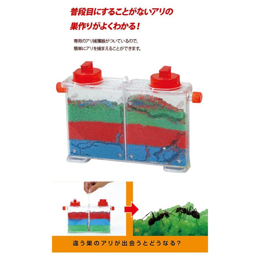 お取寄 夏休み 工作キット 小学生 手作り キット 自由研究 アリさん
