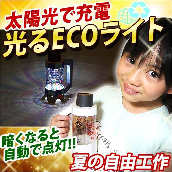評価 ペットボトルでエコライト作成 夏休み 工作キット 小学生 手作り キット 自由研究 ペットボトルエコライト メール便不可 Materialworldblog Com