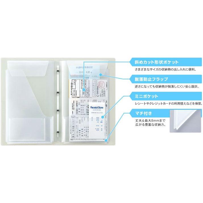 ブレンダ キング　保証書付　リトグラフ　フォルマスキャット　額入り スキットマン 領収書ファイル A4長辺1/3 12ポケット メール便不可