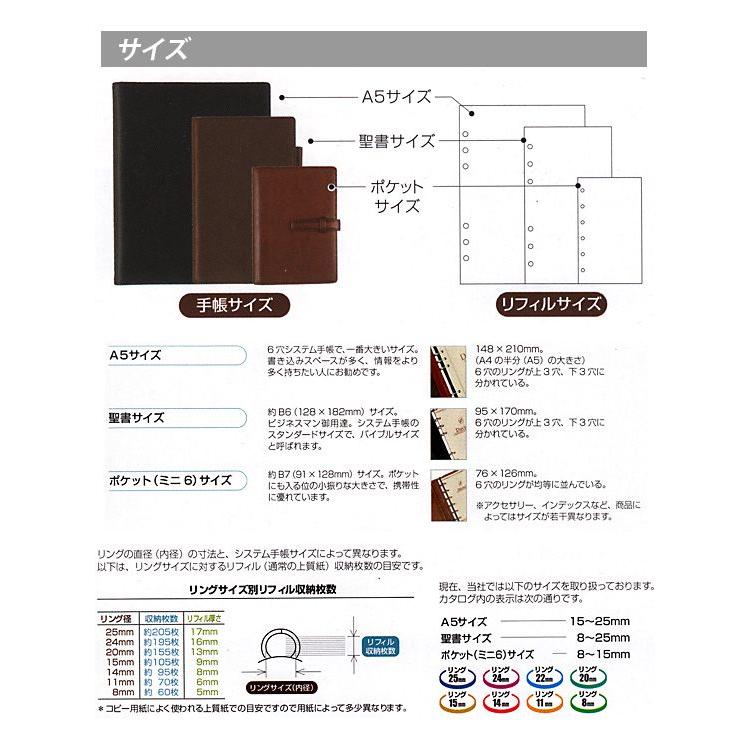 お名入れは別料金です お取寄  ダ・ヴィンチ グランデ アースレザー 聖書サイズシステム手帳 //  smtb-MS  メール便不可｜bunguo-no-osk｜05