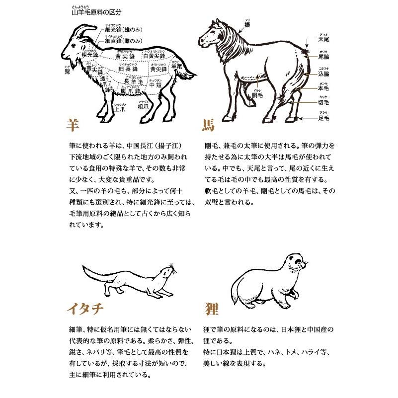 筆 水墨画 絵手紙 あかしや 水墨画 絵手紙用紙 いたち黒軸面想 小 メール便可 Pn 24 文具王のosk Yahoo ショッピング店 通販 Yahoo ショッピング