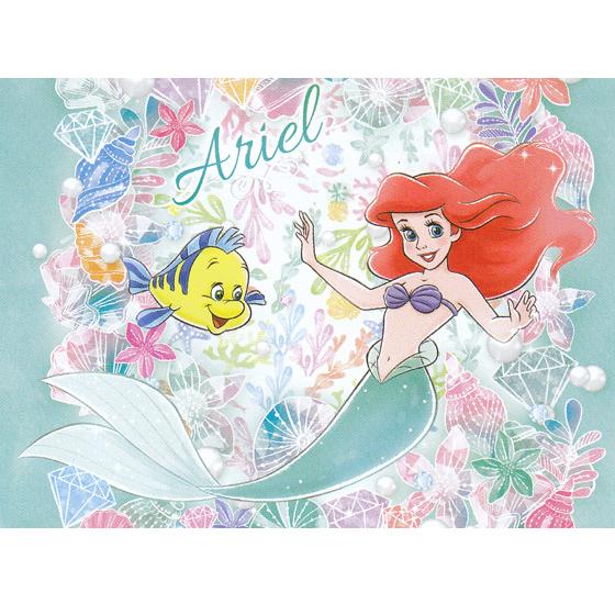 年度 筆入れ 女の子 小学生 アリエル ホログラム 筆箱 女の子 おしゃれ 両面 両開き筆入れ キャラクター ペンケース 入学祝い メール便不可 Z 文具王のosk Yahoo ショッピング店 通販 Yahoo ショッピング