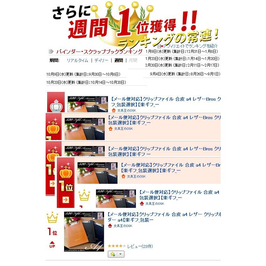 【早い者勝ち】ダブルリングバインダー　クリップ　セット　バインダー貯金 brf188_11.jpg
