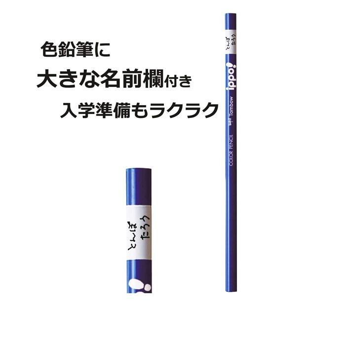 色鉛筆 12色 スライド缶入色鉛筆 ピンク 男の子 女の子 可愛い