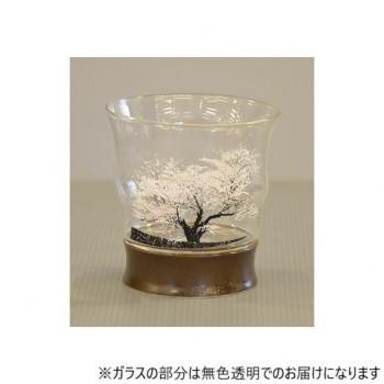 マジックロックグラス(冷水満開桜) MG-003 : ブングショップヤフー店