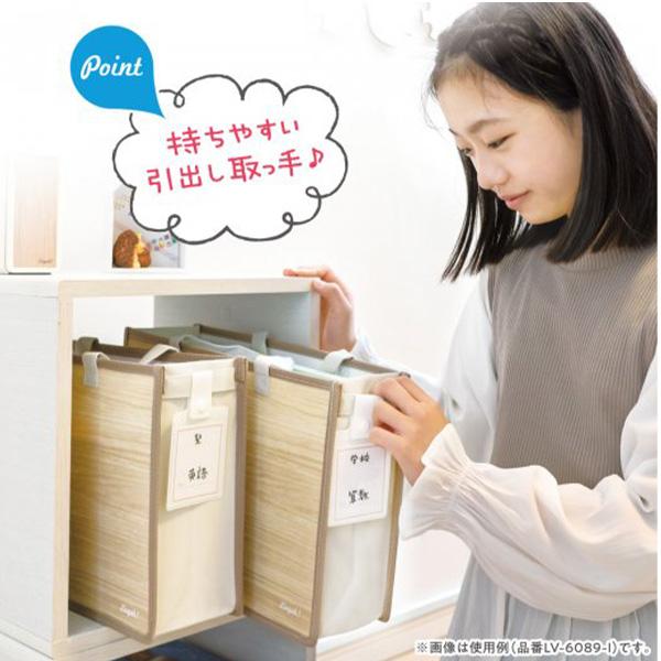 ソニック リビガク スムーズ学習バッグ タグ付き LV-6089-I アイボリー