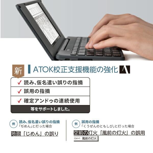 キング ジム デジタルメモ ポメラ DM250 ダークグレー POMERA 電子メモ