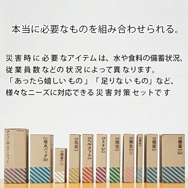 キングジム 吸水バッグ10枚入り 浸水や漏水などの際に約10Lの水を吸収
