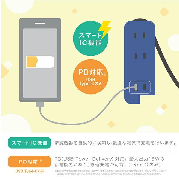 ソニック スリム ポータブルコンセント ポーチ付 USB-C UL-6357