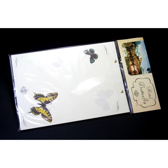 ディーブロス-D-BROS レターヘッドバタフライ ホテルバタフライ