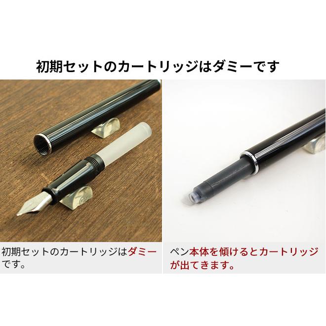 ディプロマット DIPLOMAT トラベラー ステンレススチール ゴールド 万年筆 あすつく対応_5