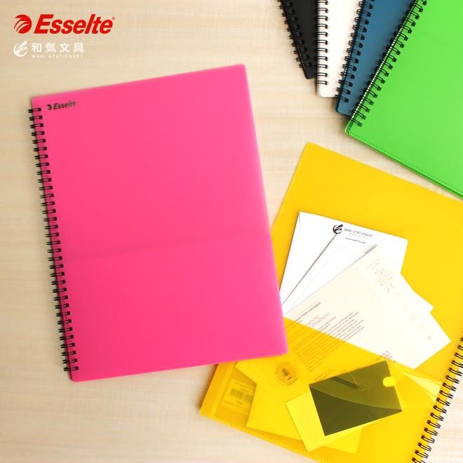 Esselte エセルテA4ファイル (黒)13冊セット