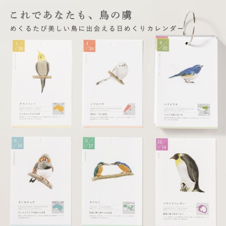 青い鳥 BOXセット ( 6枚組 )　特典 : 2001ミニカレンダー付き いろは出版 366日の誕生鳥カレンダー 世界の美しい鳥 あすつく対応