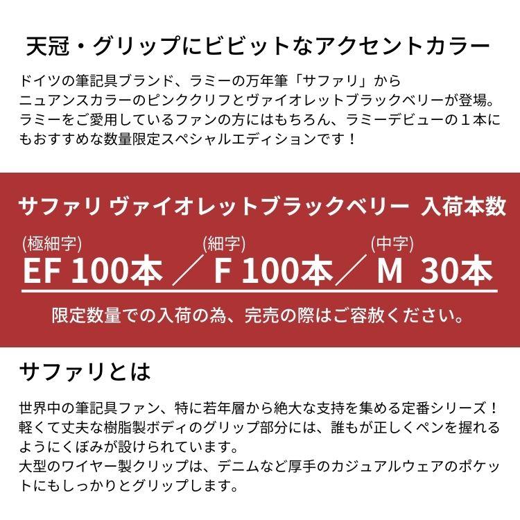 [ インクカートリッジ付き ] 限定 ラミー サファリ ヴァイオレット ブラックベリー 万年筆 あすつく対応｜bunguya｜02