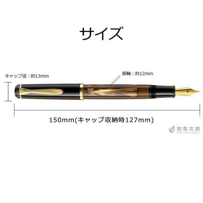 プレゼント 万年筆 名入れ 無料 ペリカン Pelikan クラシックM200/M205/M215 万年筆 / 誕生日 ギフト 記念 送別 祝い 退職｜bunguya｜07