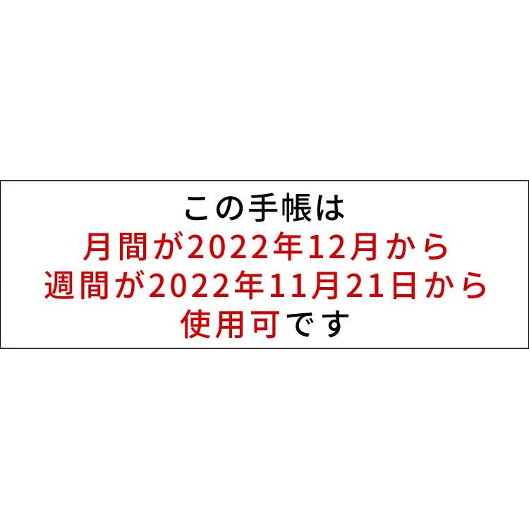 2024年 手帳 クオバディス QUOVADIS システム手帳 バイブルサイズ タイマー17 リフィル（レフィル）｜bunguya｜02