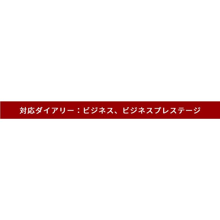 名入れ 無料 クオバディス QUOVADIS 10×15 カバー バッファロー レザー 水牛革 カバーのみ ビジネス ビジネスプレステージ 対応_2
