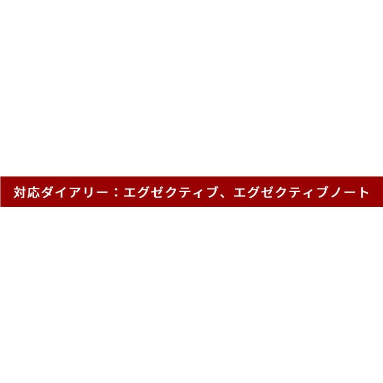 名入れ 無料 クオバディス QUOVADIS 16×16 カバー テール (牛革) カバーのみ エグゼクティブ エグゼクティブノート 対応の画像