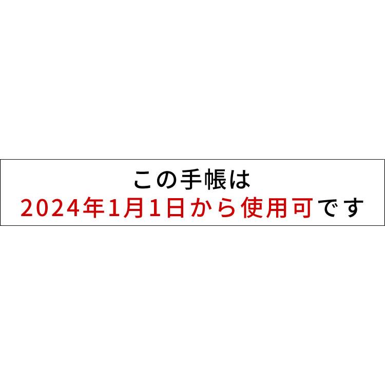 2024年 手帳 クオバディス QUOVADIS デイリー 1日1ページ 8.5×13cm マオー アンパラ｜bunguya｜02