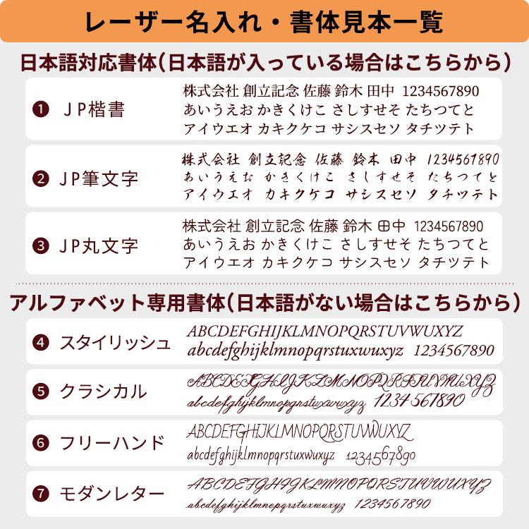 名入れ 無料 万年筆ギフトセット パイロット コクーン + 色彩雫ミニボトル 3色セット あすつく対応_16