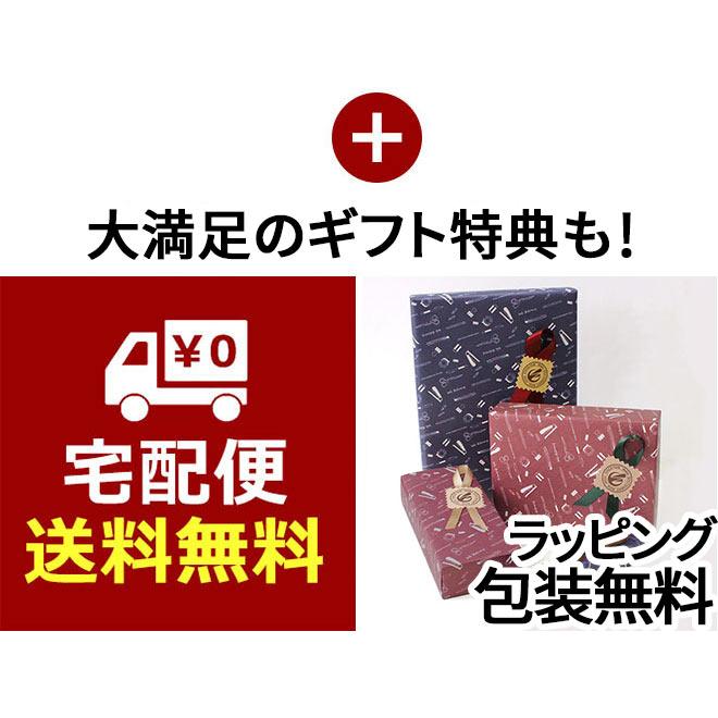 セーラー万年筆 万年筆ギフトセット セーラープロフィットjr +