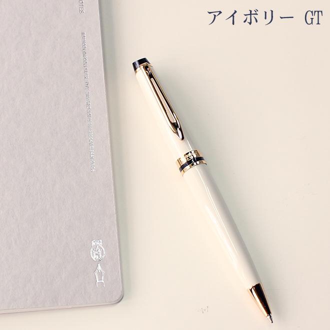 WATERMAN（ウォーターマン） 名入れ 無料 エキスパート エッセンシャル